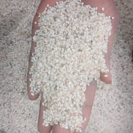 Sesame seeds
