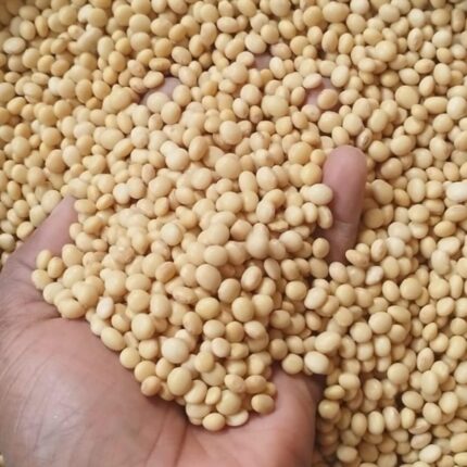 Soya Beans